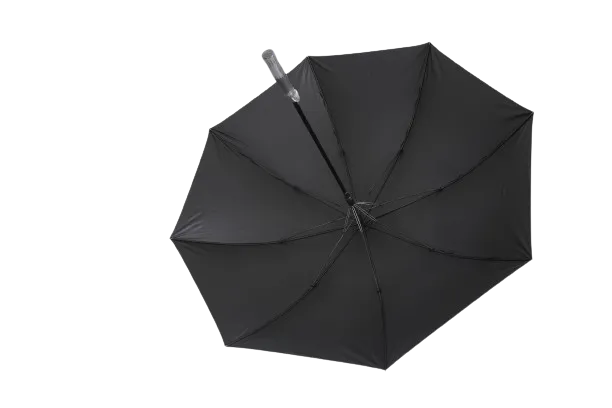 [Umbrella] HEAD X KAKAO 콜라보 우산 6