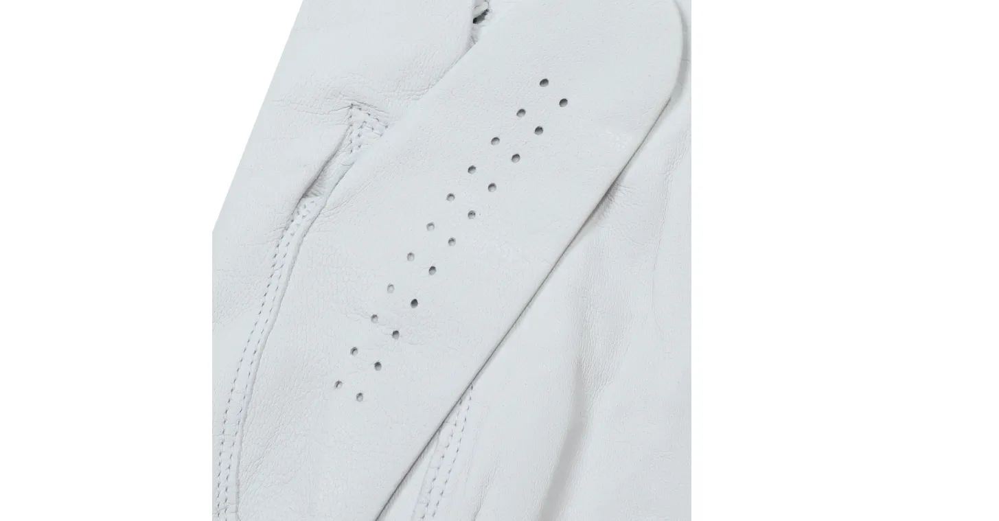 [장갑] A.P.C GOLF 로고포인트 왼손 장갑 5